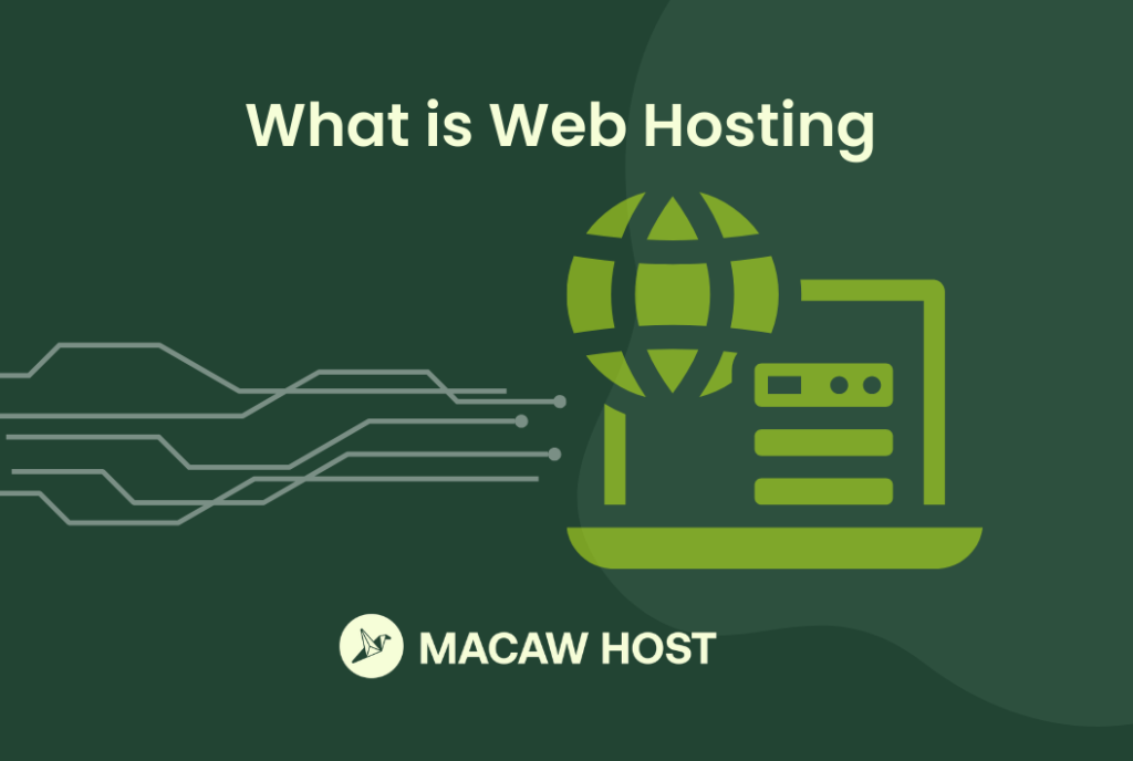 what is web hosting