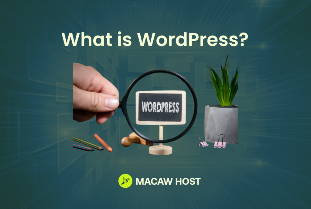 What is WordPress - MacawHost